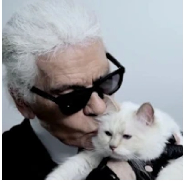 Из открытых источников