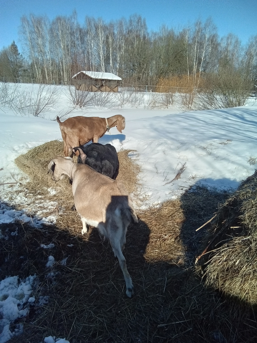 Фото автора.