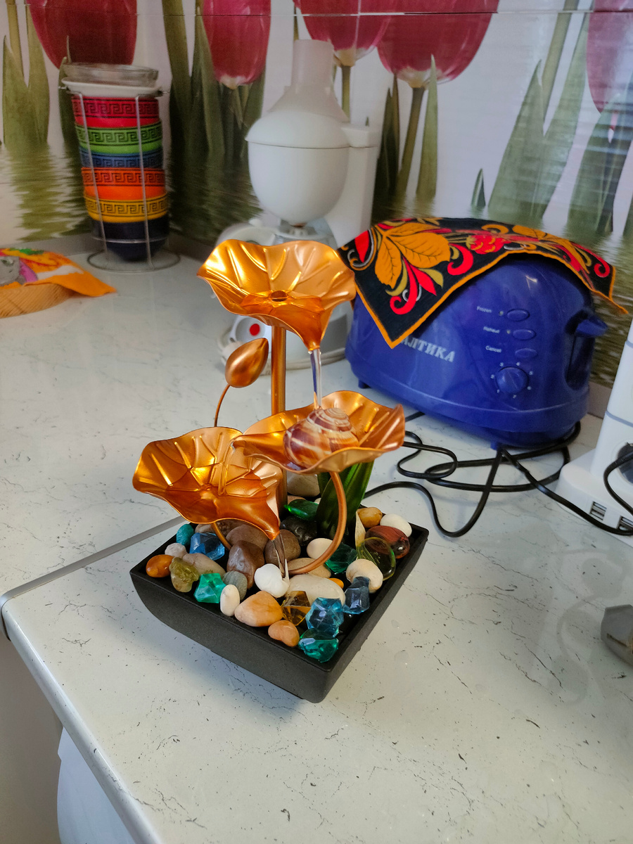 Наш подарок