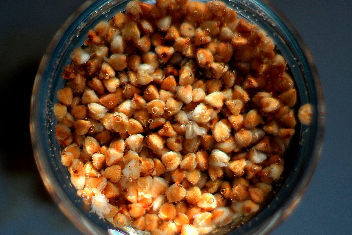    Фото: iira116 / Pixabay.com