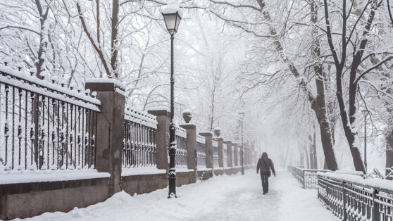    15 декабря в Москве и области ожидается облачный день со снегом Андрей Галкин