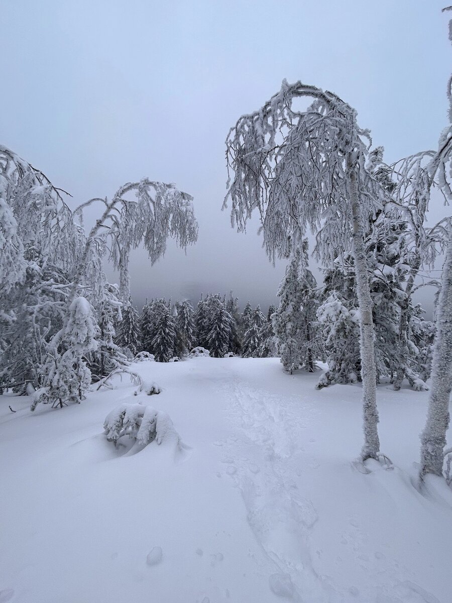 Уральская зима. Фото с открытых источников. 