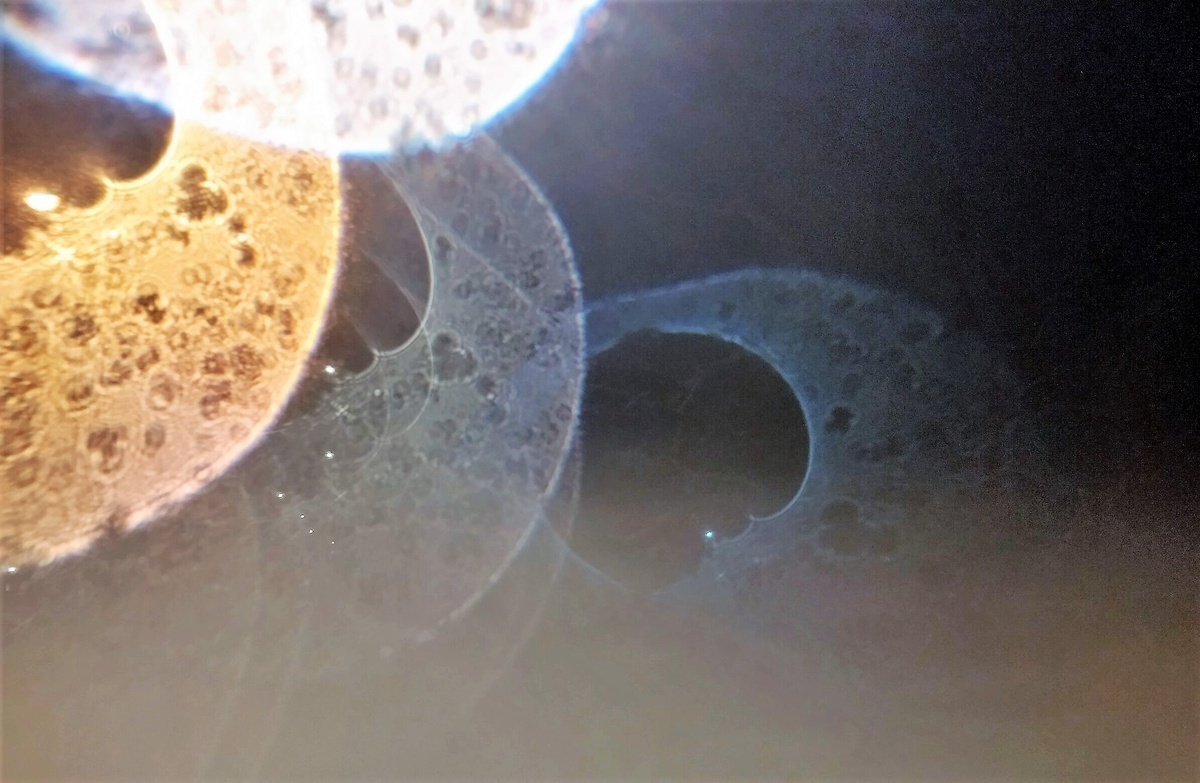 Благодарю за фото Елену Т)