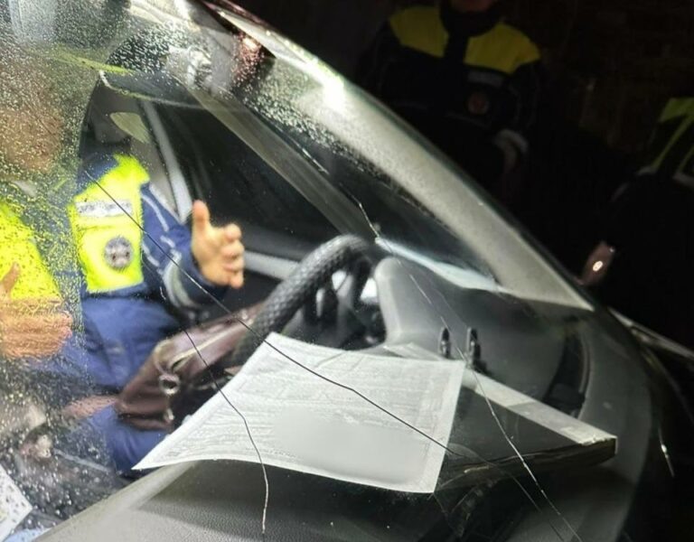    Бил стекла головой. Пьяный водитель из Акбулака при задержании оказал сопротивление Андрей Севостьянов