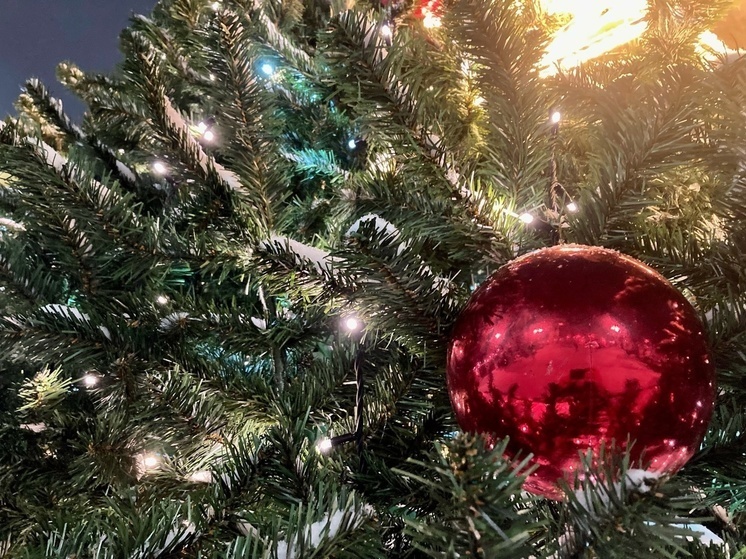     фото: мк в вологде