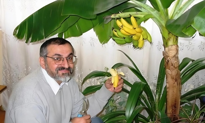    Хочу банан!