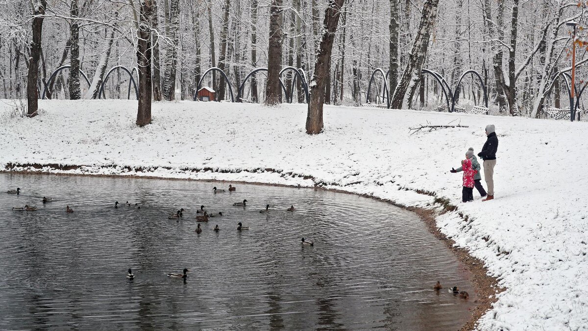   Фото: ИЗВЕСТИЯ/Эдуард Корниенко