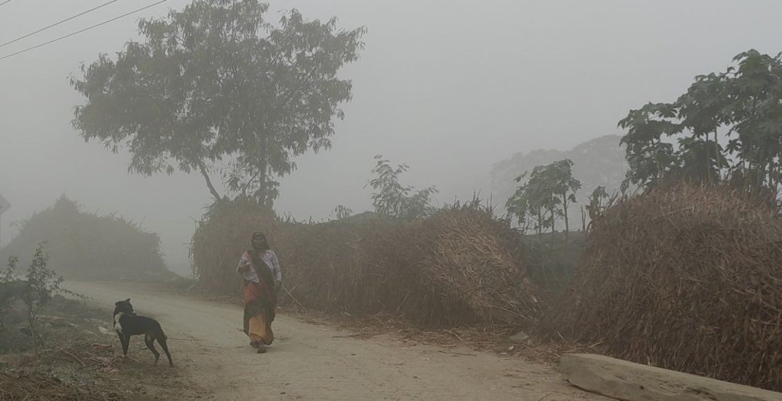    Фото: НИА "Экология"