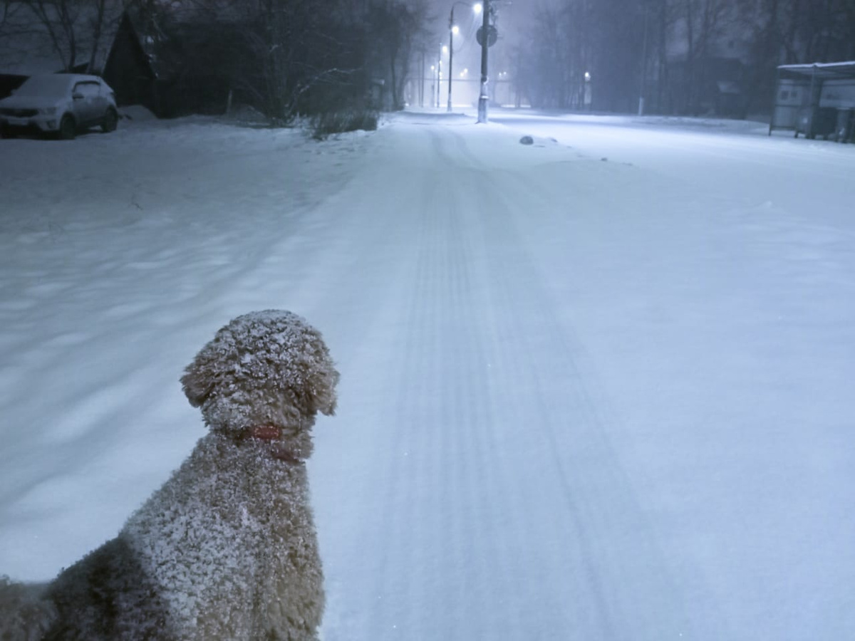 Румпель: - А мне совсем не холодно. И не страшно... Честно-честно.