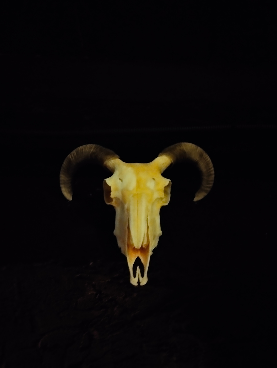 Красавчик, не правда ли?