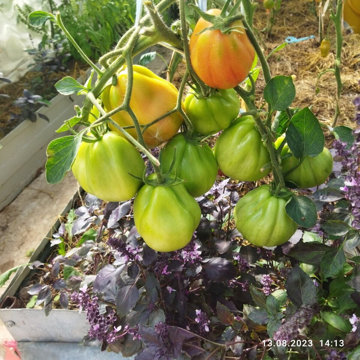 моё фото 23 года