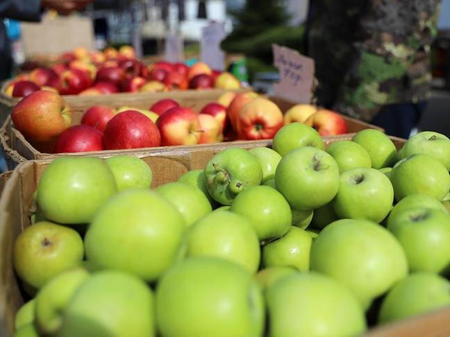Фото: Валерия Шатько (архив)