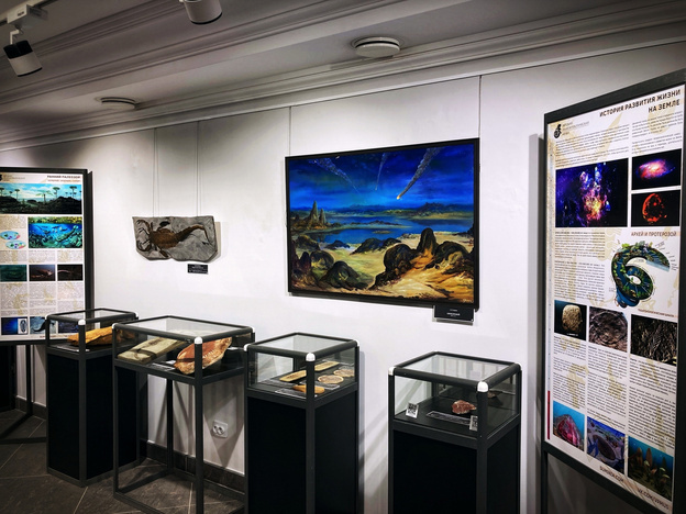    Выставка вятского музея «Древняя жизнь» открылась в Костроме