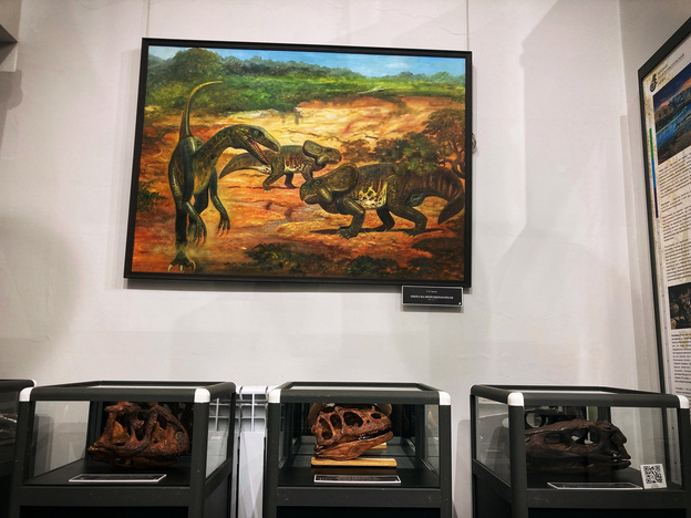    Выставка вятского музея «Древняя жизнь» открылась в Костроме