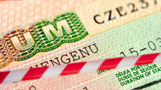    В АТОР назвали причины отказа россиянам в выдаче шенгенских виз Татьяна Сидорова