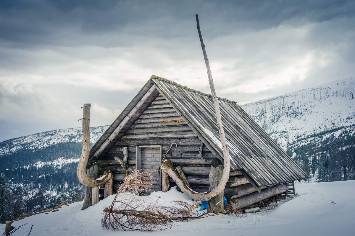 Фото из Яндекса