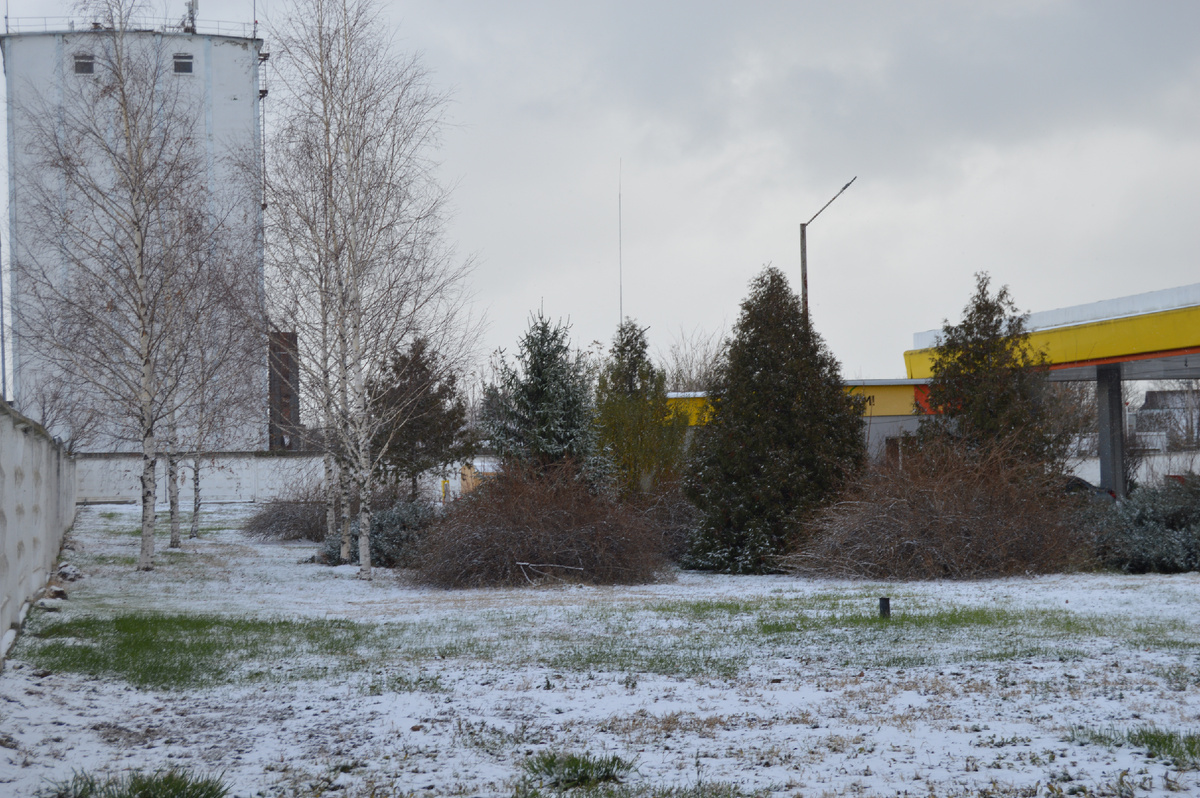 Фото автора. Декабрь 2024. Зимний вид Кубани.