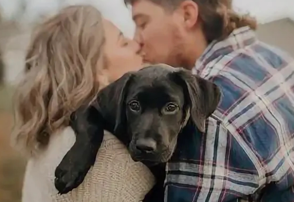 Яндекс.картинки для обложки 