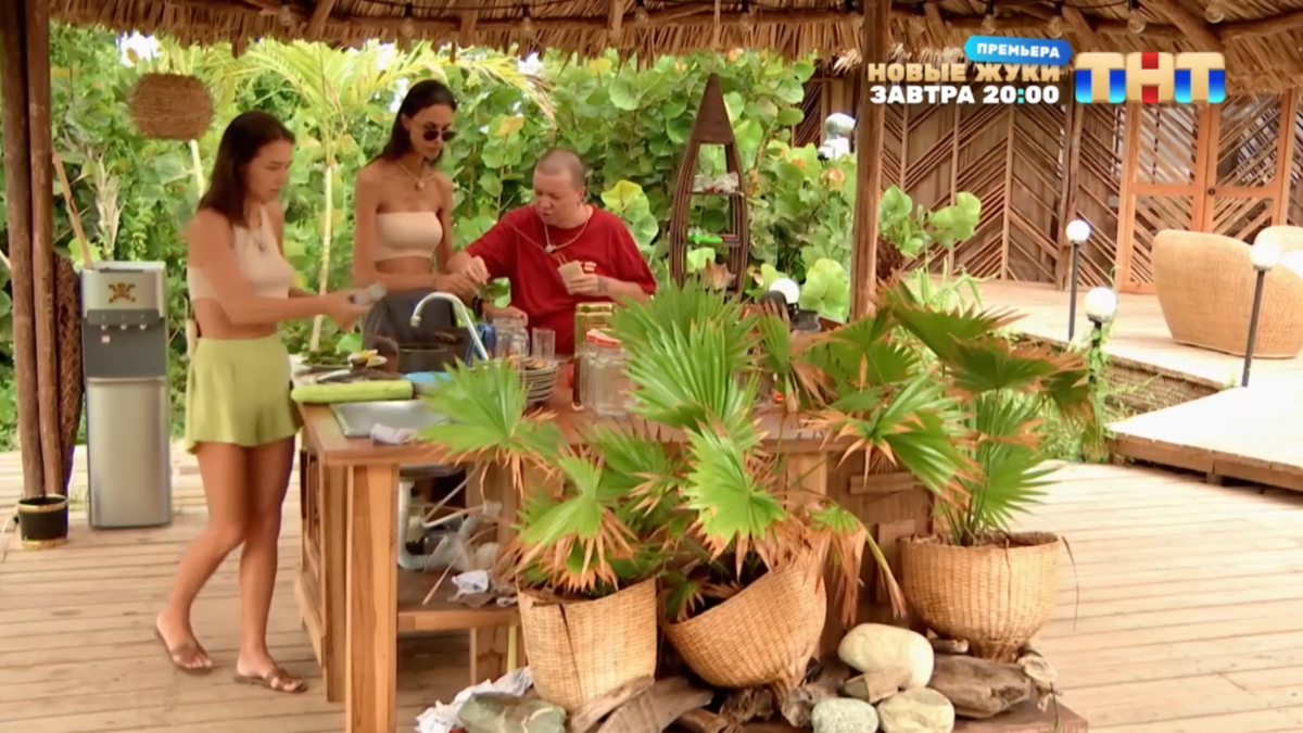 Кадр из шоу «Звёзды в джунглях» 15.12.2024