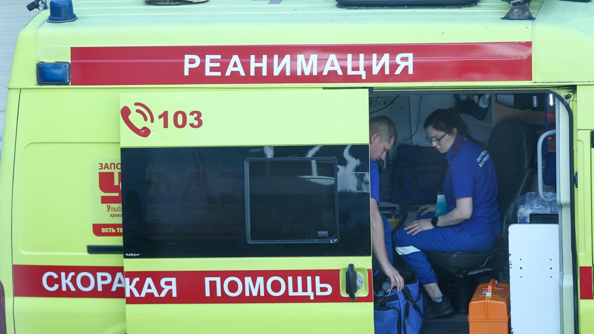    Фото: Petrov Sergey/Petrov Sergey