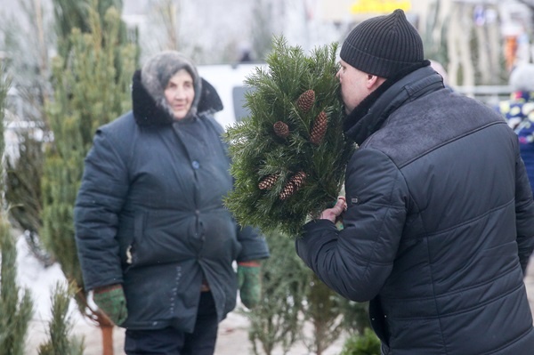 Фото: Егор Алеев/ТАСС
