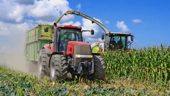    Правительство направит более 4 млрд рублей на развитие сельхозпроизводства в новых регионах РФ в 2025 году Ирина Петрова