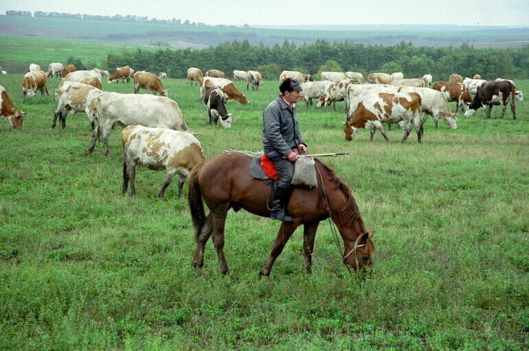   Игорь Самохвалов/ПГ