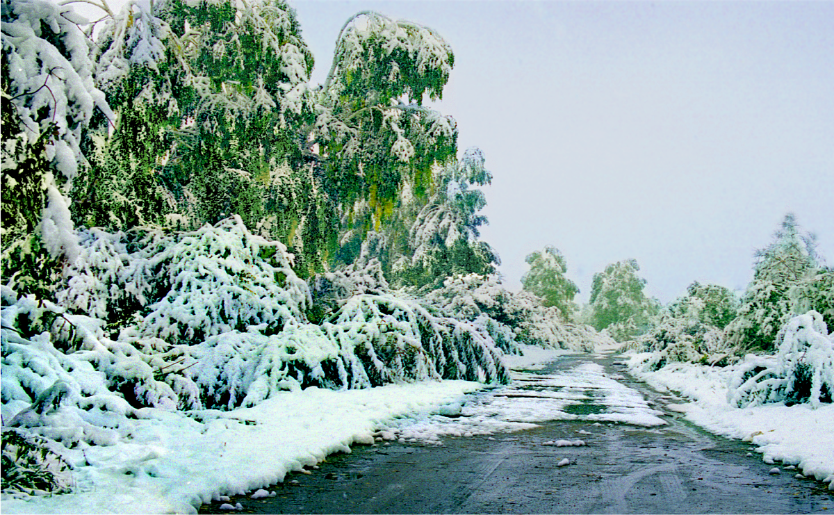 Фотография, стихотворение Василия Глуцкого