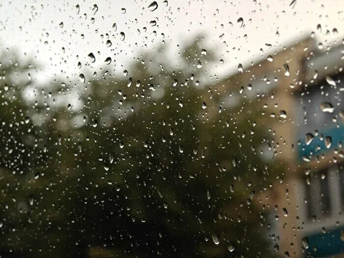    Фото: Юрий Серебренников/BFM Кубань