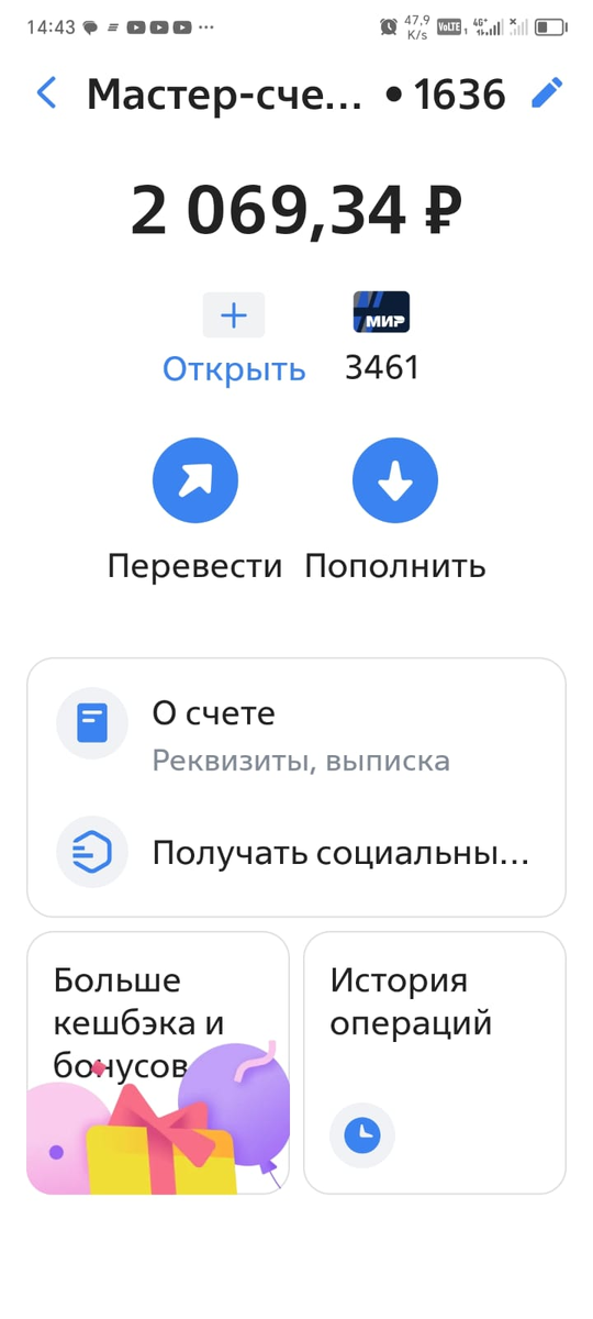 остаток на счету приюта