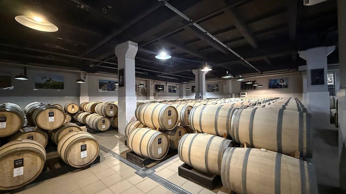    Фото: пресс-служба администрации Краснодарского края