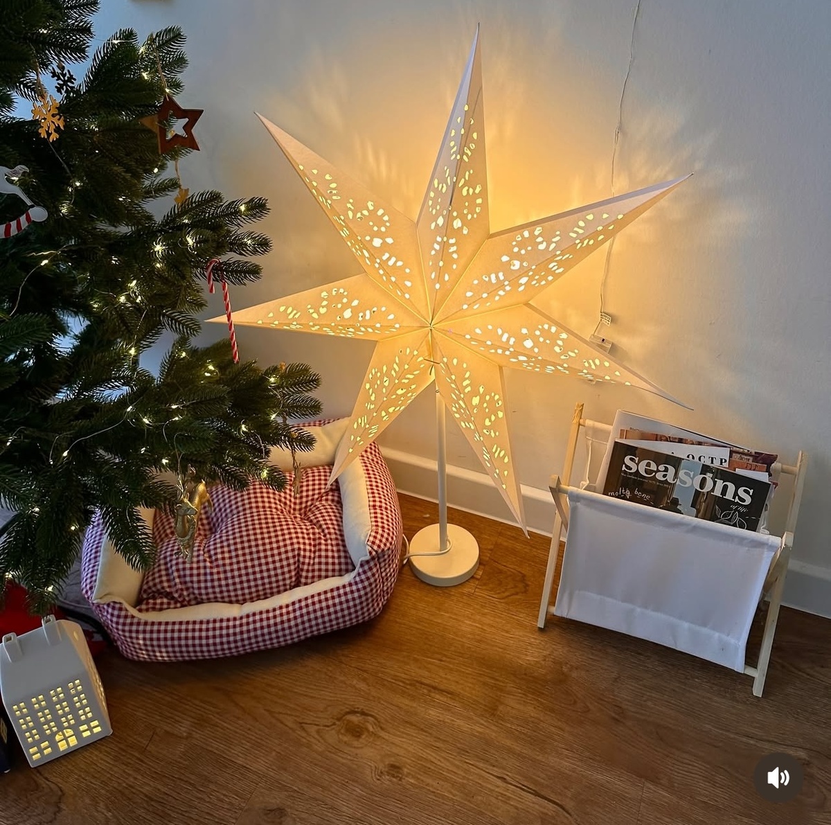 Недавно я увидела у одного блогера потрясающую лежанку в клетку, которая сразу создает новогоднее настроение. Она выглядит так уютно и стильно, что точно станет украшением любого интерьера, а вашему хвостатому другу будет особенно комфортно.