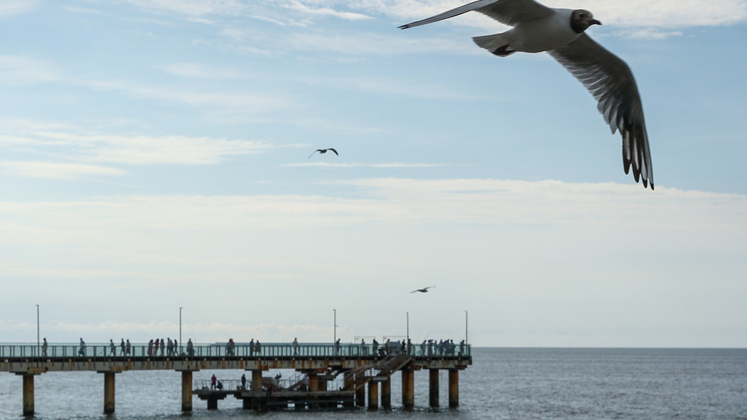    Фото: © Petrov Sergey/news.ru/Globallookpress