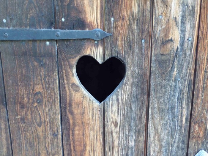 Русскому человеку для счастья нужно совсем немного / Фото: pxhere.com