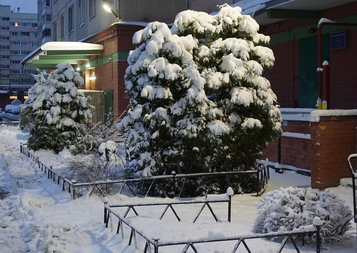 Здравствуй Зима!