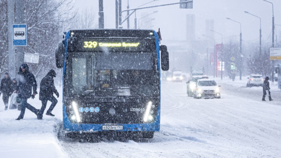    Выросшие в Москве "январские" сугробы в ближайшие 1,5 суток увеличатся еще на несколько сантиметров Ирина Петрова