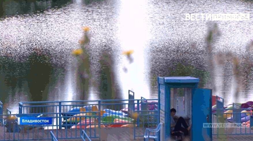    Источник фото: "Вести: Приморье", dpskontrol_125rus