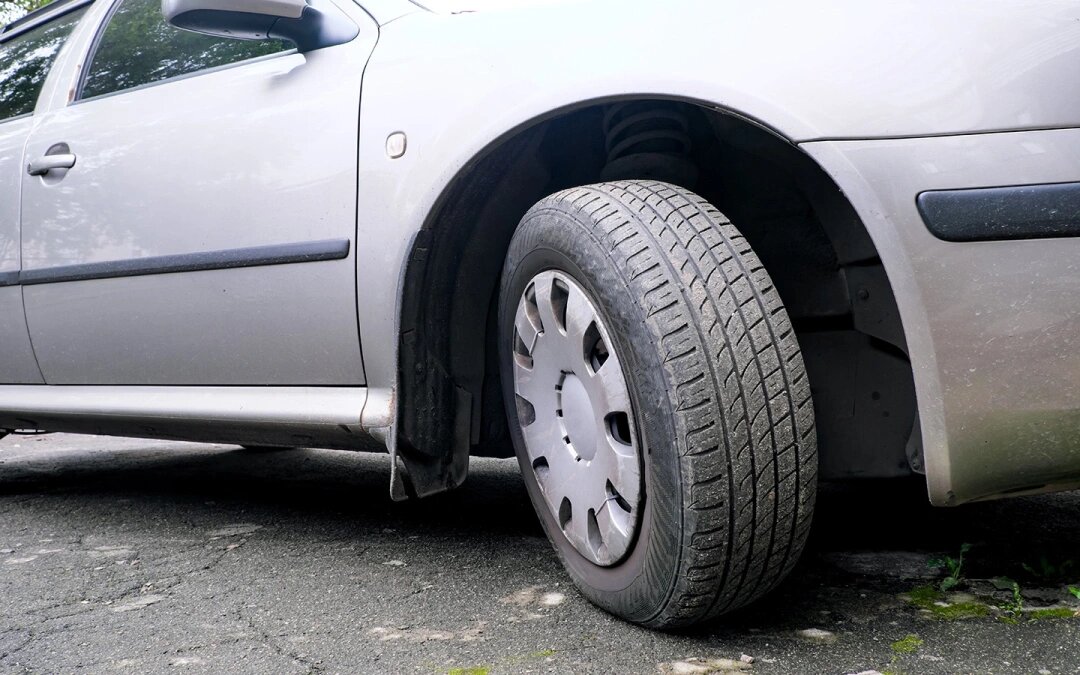 Фото: Aviavlad / Shutterstock / FOTODOM