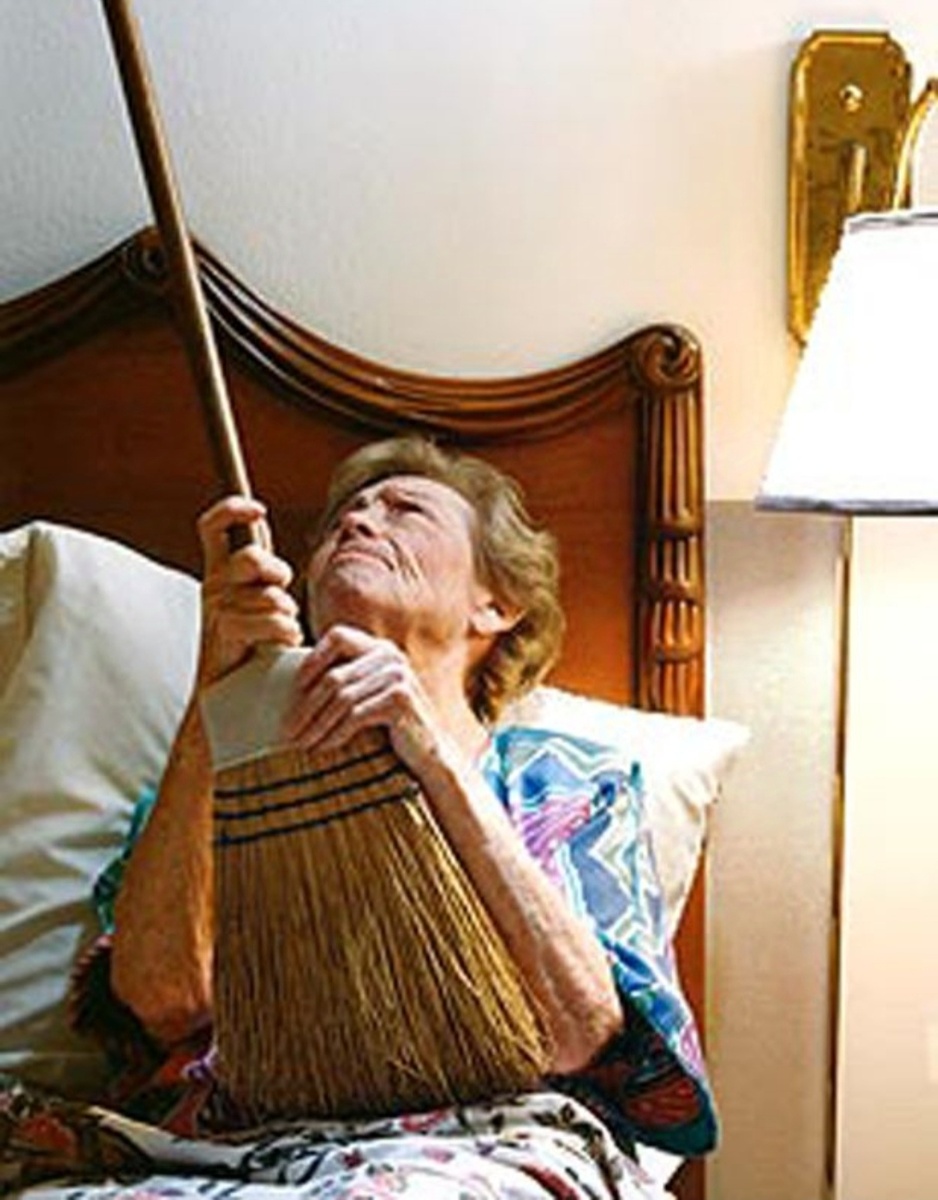 Фото взято из Яндекс картинки