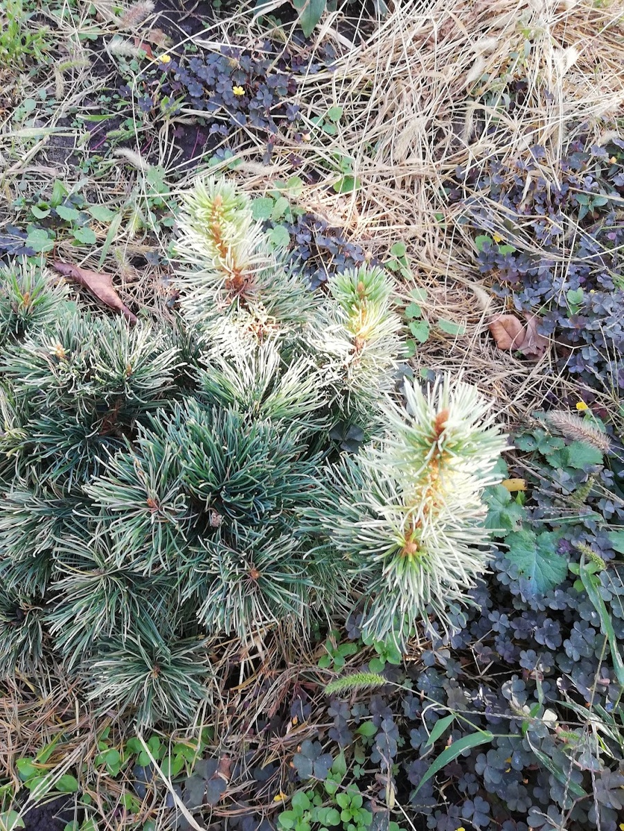 фото сделано 12.10.2020 г.