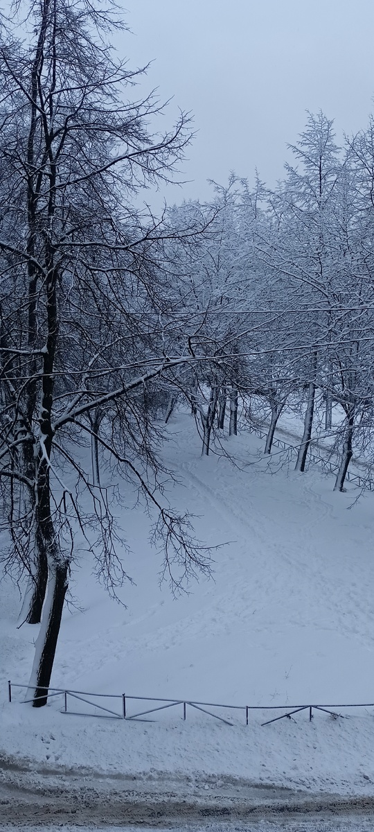 Фото автора. 12:45. СПб.