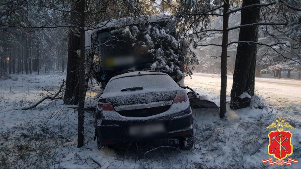    Фото: t.me/spb_police78