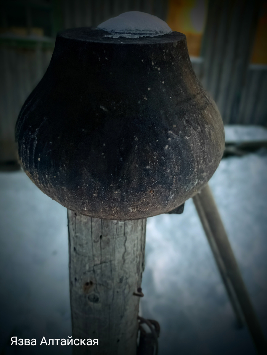 Чугунок. Не знаю почему, но именно эта картинка пришла на ум. Фото моё