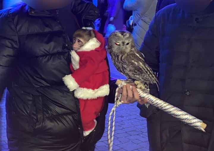    Фото: пресс-служба МВД по Краснодару