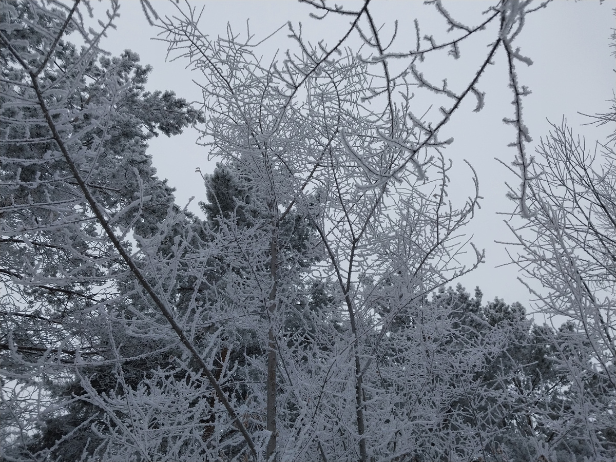 Зима-красота.