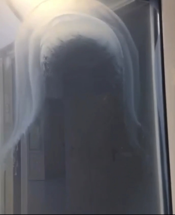 Этот образ Богоматери до сих пор "стоит" в почти во всех дверях гопиталя имени Вишневского