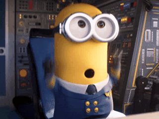 Полет завершён !