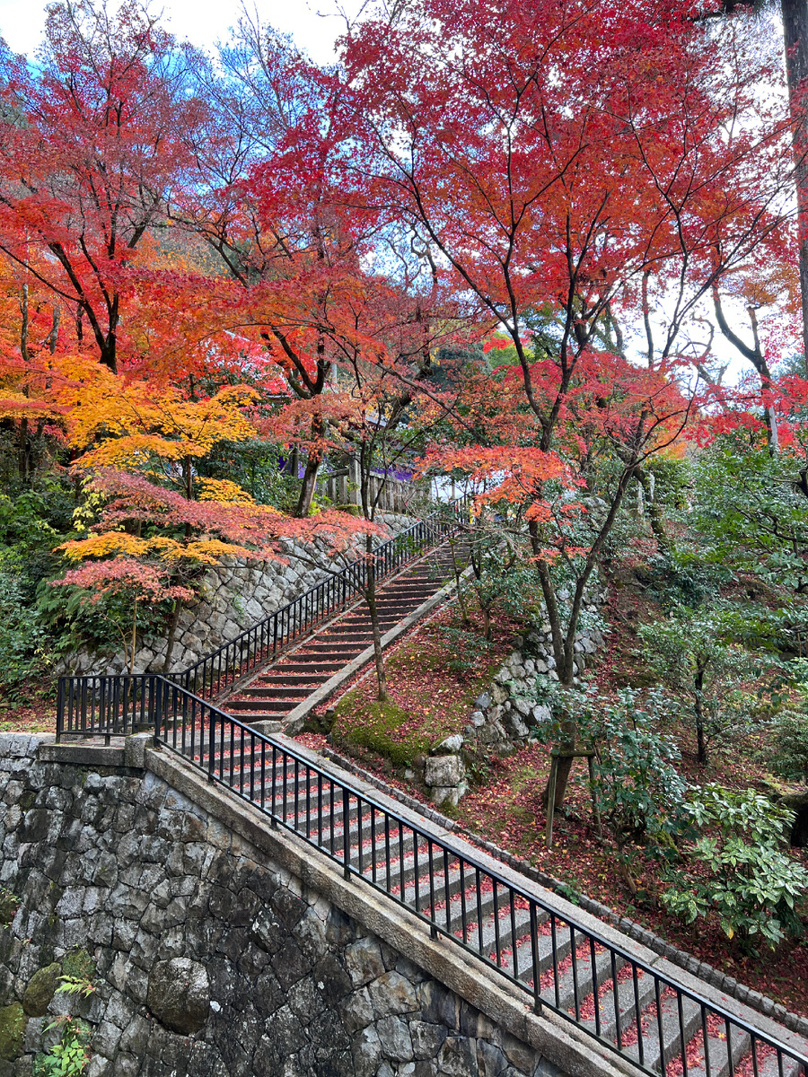 Храмовый парк. Эйкан-до, храм «чистой земли». Киото, Япония. Фото автора