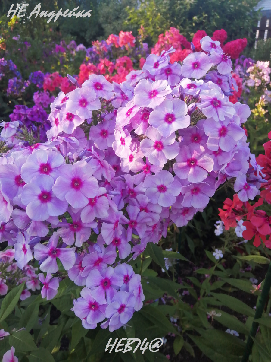 Сейчас он у меня в коллекции с пометкой НЕ Андрейка