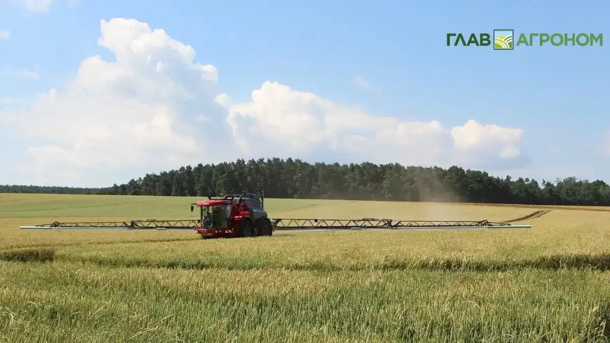 Фото:© Владимир Исаенко / Glavagronom.ru
Ежегодно увеличение объемов выращиваемой сельхозпродукции часто достигается путем применения пестицидов и агрохимикатов
